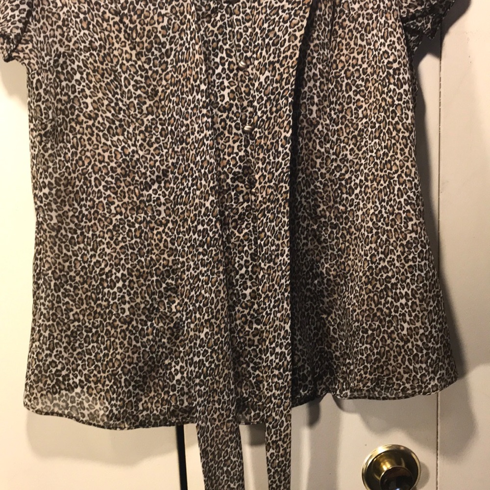 Shirt - Picture 4 of 6